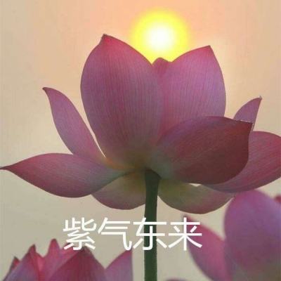 大明圣皇