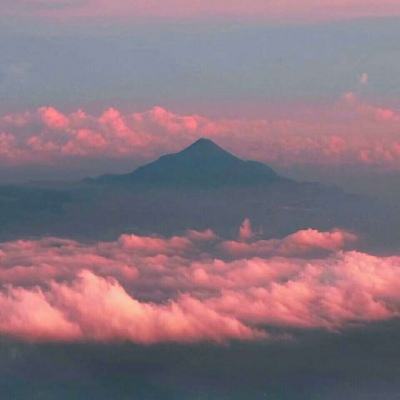 重点流域水生态环境保护取得重大进展