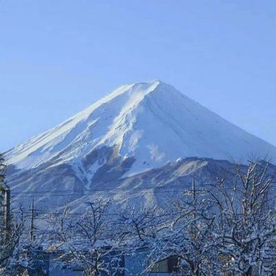 电影《只此青绿》在北大首映 传统文化引发青春共鸣