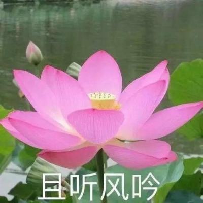 云南日报评论员:让边疆各族群众更加幸福安康——论学习贯彻习近平总书记重要回信精神