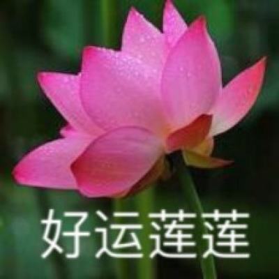 中国人民银行召开视频会议贯彻落实中央政治局会议精神全力推进金融增量政策举措加快落地