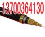 辽源销售WDZKVV22电缆，辽源生产低烟无卤控制电缆