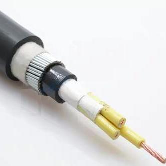 内蒙古控制电缆ZR-DJYP2V22价格