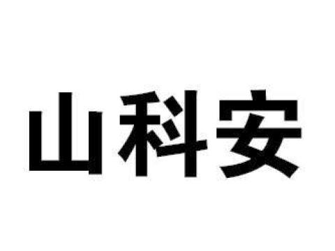 山东自动系统工程有限公司Logo