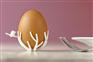 正宗土鸡蛋、有机鸡蛋、儿童鸡蛋、孕妇鸡蛋、月子鸡蛋、非转基因
