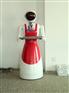 陕西机器人厂家——哪里有销售优惠的宁夏机器人