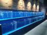 海鮮池海鮮池設計鮮池制作酒店海鮮池超市海鮮池魚缸